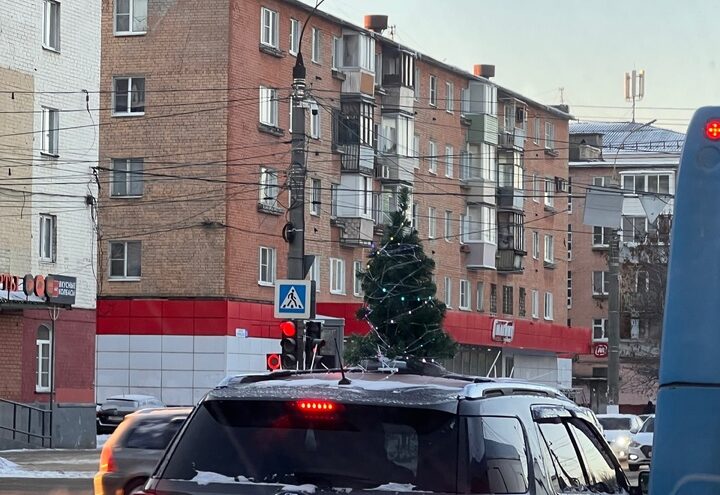 В Твери появилась передвижная новогодняя елка