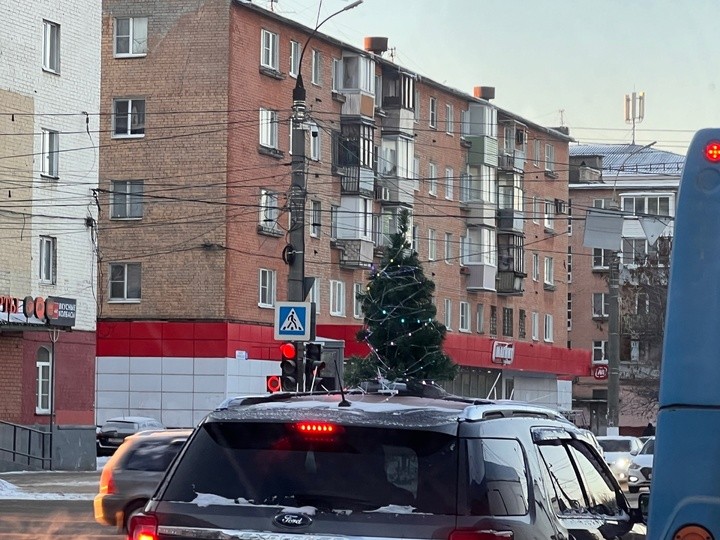 В Твери появилась передвижная новогодняя елка