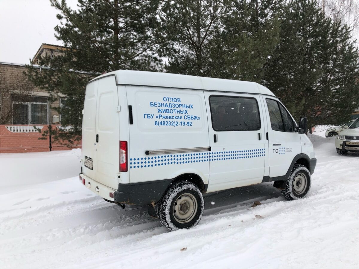 После несчастного случая в Тверской области проводят отлов бездомных собак  | ТОП Тверь новости