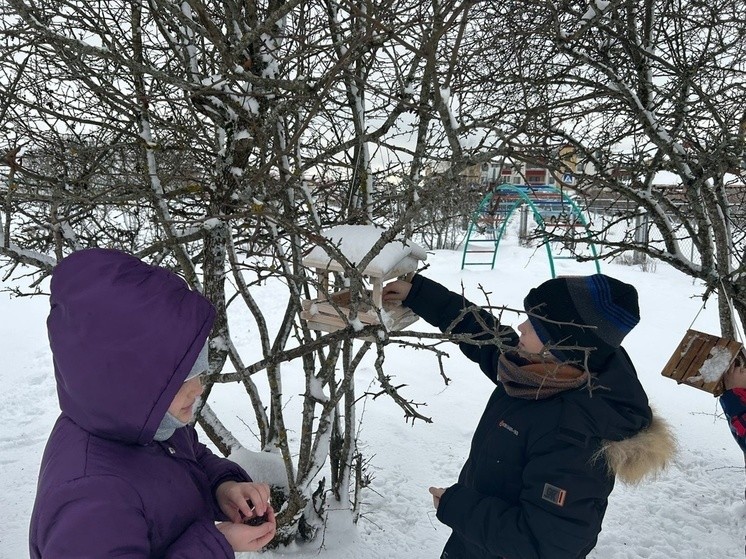 Школьники Андреаполя присоединились к акции «Покормите птиц зимой»