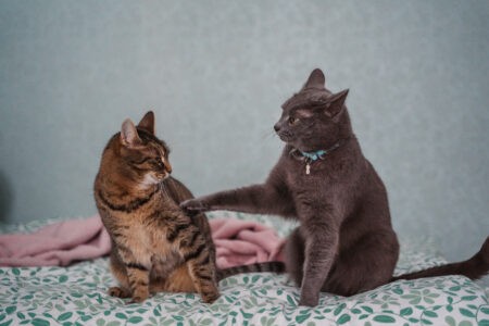 Жителям Тверской области напомнили о короткой рабочей неделе в феврале