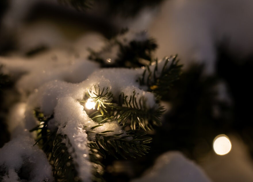 Тверскую область ждет аномально холодное Рождество