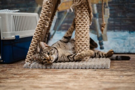 Жителям Тверской области рассказали, как будем отдыхать в 2024 году