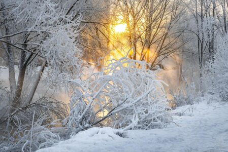 Всю Тверскую область засыплет снегом Всю Тверскую область засыплет снегом