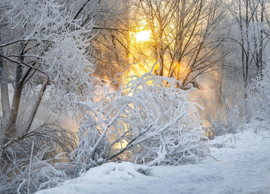 Всю Тверскую область засыплет снегом