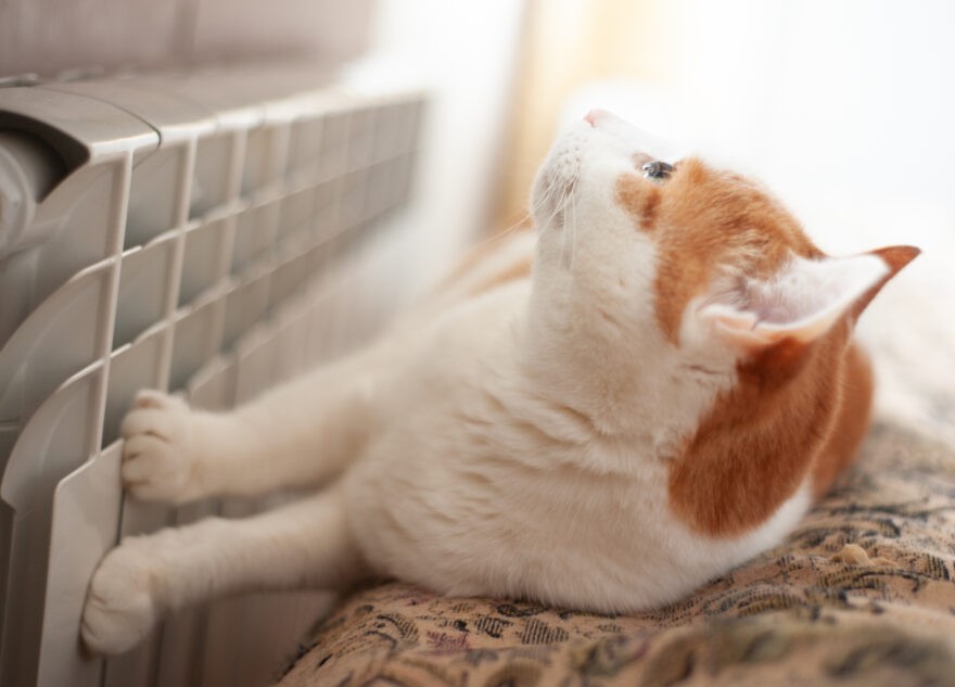 В Тверской области оперативно восстанавливают технологические нарушения на коммунальных сетях