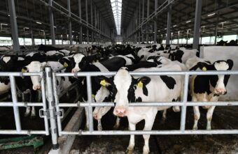 Больше 190 тысяч тонн молока произвели в Тверской области в 2023 году
