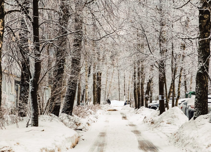Погода в Тверской области будет комфортной для прогулок