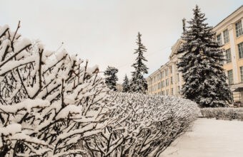 В Тверской области после праздников продолжатся морозы