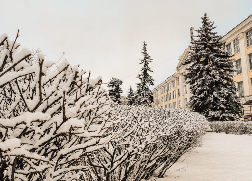 В Тверской области после праздников продолжатся морозы