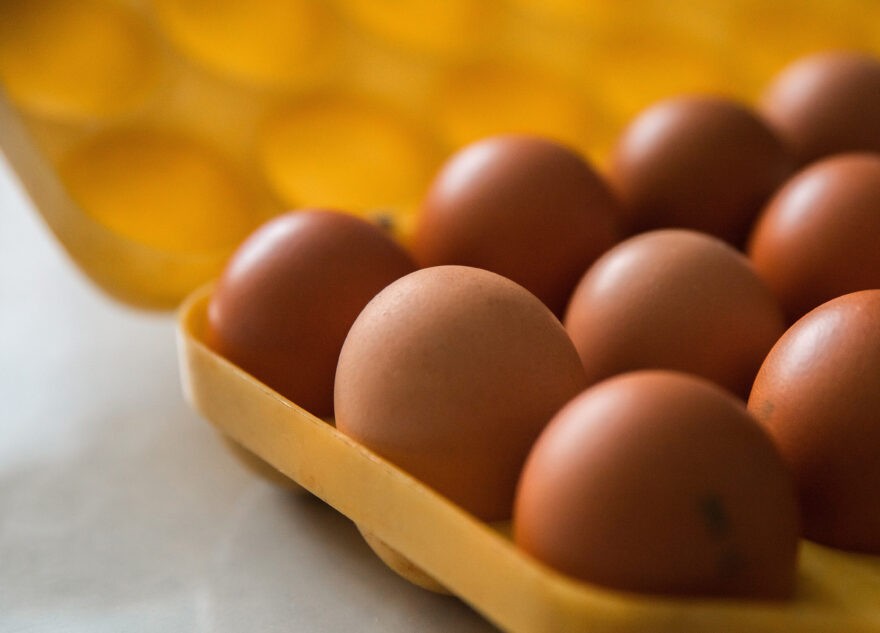 Эксперт назвал главные отличия турецких яиц от российских