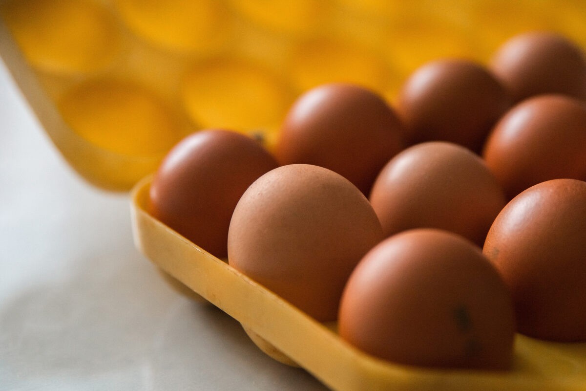 Топ-5 вкусных и полезных завтраков из яиц - 6 ноября, Статьи «Кубань 24»