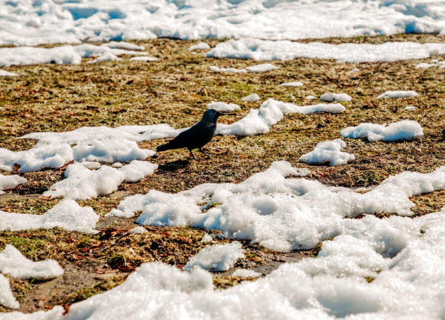 Синоптики рассказали о резком потеплении в Тверской области