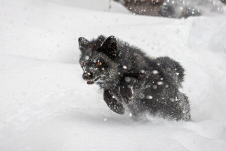 Спасатели предупредили жителей Тверской области об очень опасной погоде