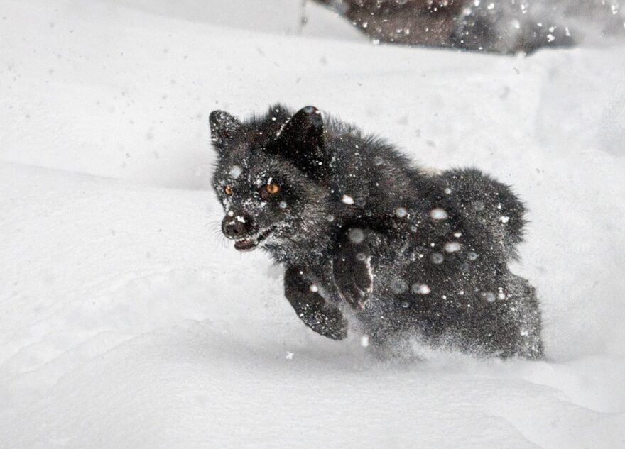 Спасатели предупредили жителей Тверской области об очень опасной погоде