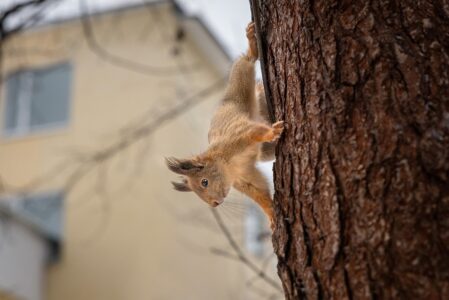 Синоптики рассказали о сюрпризах погоды в Тверской области в выходные Синоптики рассказали о сюрпризах погоды в Тверской области в выходные