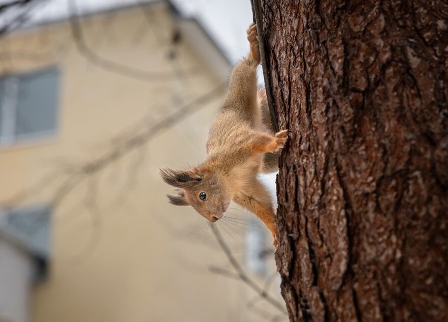 Синоптики рассказали о сюрпризах погоды в Тверской области в выходные