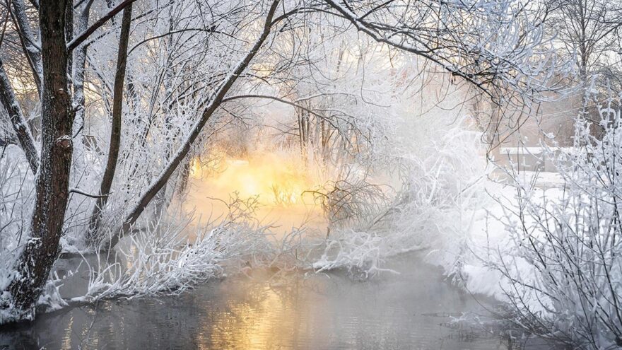 папаха кафе в махачкале. папаха ресторан махачкала ресторан. кафе папаха тверь. папаха ресторан хабиба. папаха ресторан хабиба.