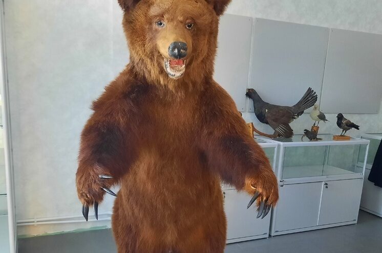 Оленинский музей переезжает в новое здание