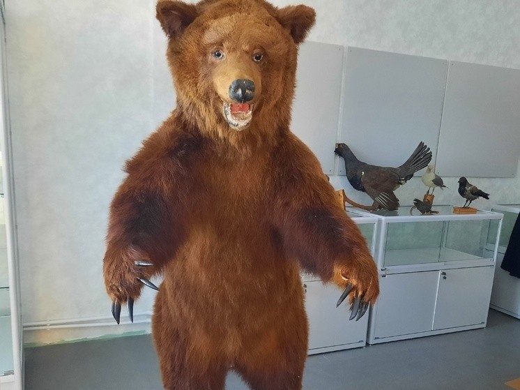 Оленинский музей переезжает в новое здание