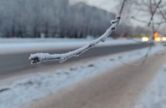 Волонтеры спасли в Тверской области замерзающих людей Волонтеры спасли в Тверской области замерзающих людей