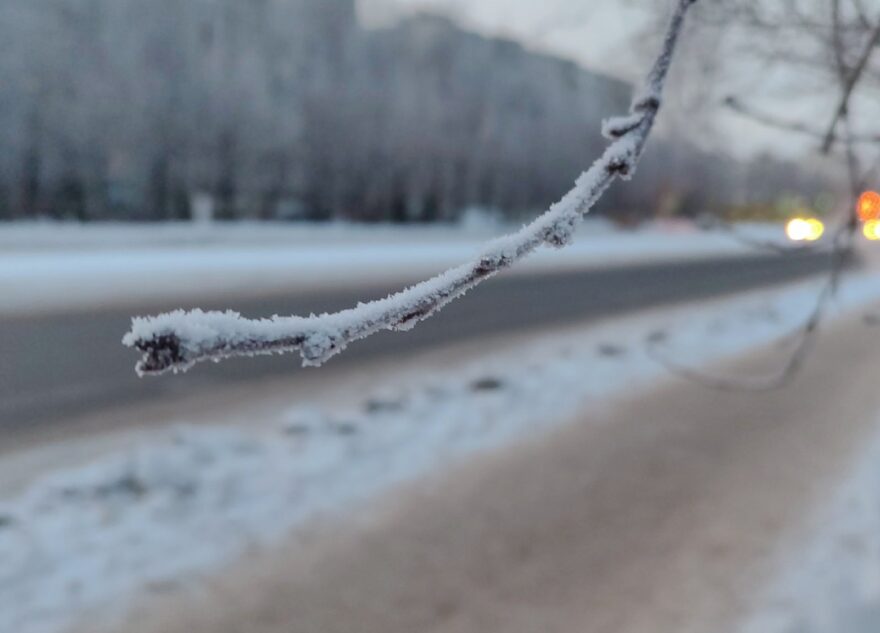 Волонтеры спасли в Тверской области замерзающих людей