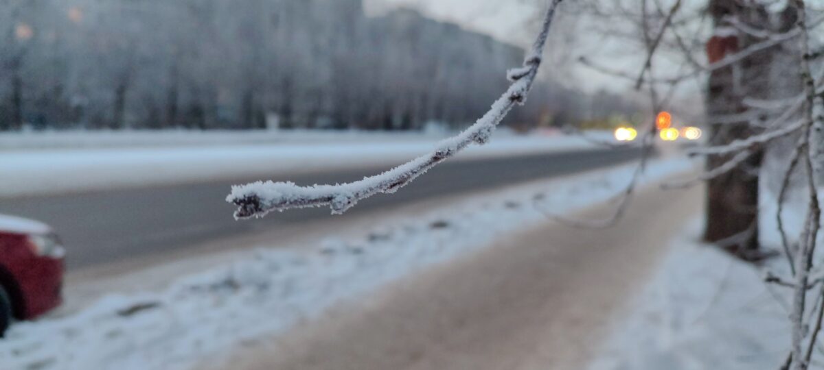 Волонтеры спасли в Тверской области замерзающих людей
