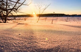 После аномальных морозов погода вновь удивит жителей Тверской области После аномальных морозов погода вновь удивит жителей Тверской области