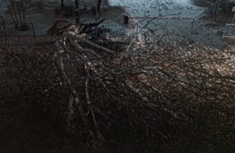 В Твери дерево перекрыло проезд к больнице