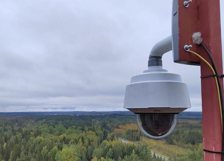 В Тверской области утверждена госпрограмма по охране лесов