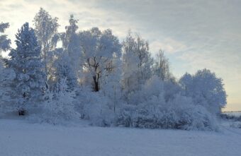 В Тверскую область крещенские морозы придут с опозданием