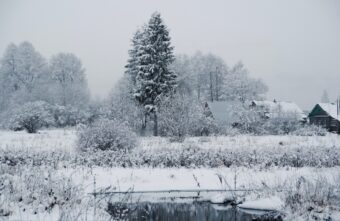 Синоптики сообщили, сколько в Тверской области продлится потепление Синоптики сообщили, сколько в Тверской области продлится потепление