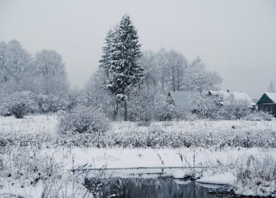 Синоптики сообщили, сколько в Тверской области продлится потепление