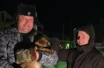 В Тверской области полицейские спасли от мороза бездомных щенков В Тверской области полицейские спасли от мороза бездомных щенков