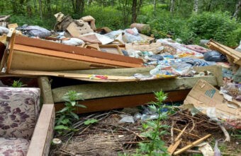 Жители Тверской области вынуждены были выбрасывать мусор в лесу