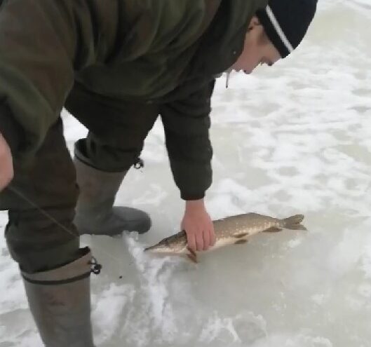 В Тверской области удачливые рыбаки ловят больших щук