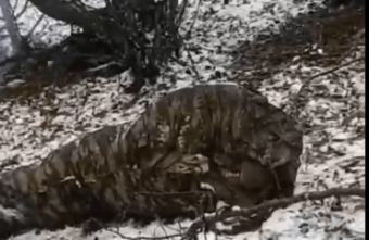 Из всего имущества у бойцов из Тверской области остался один генератор