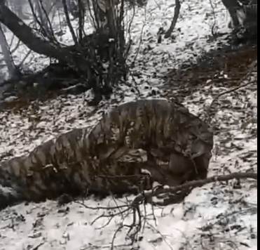 Из всего имущества у бойцов из Тверской области остался один генератор