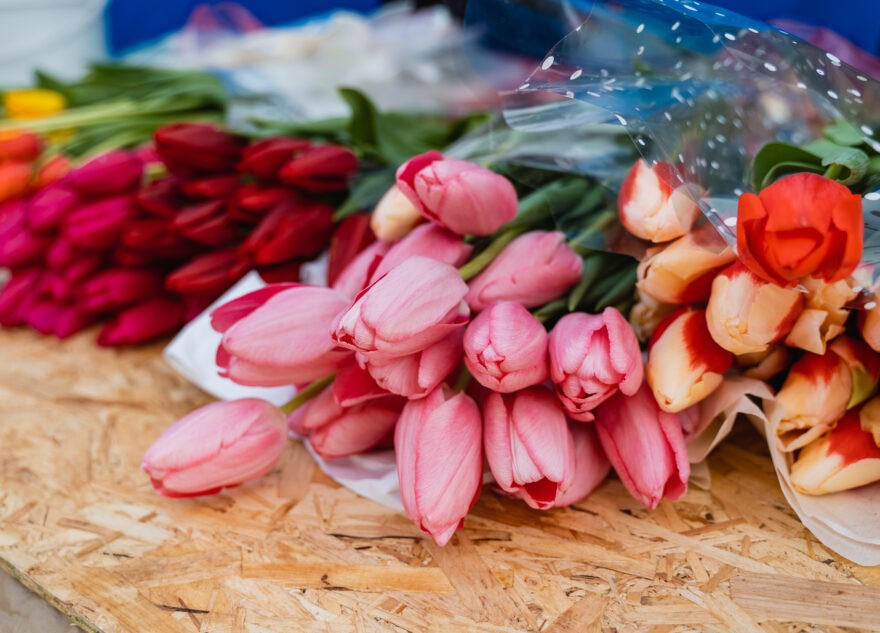 Губернатор Игорь Руденя поздравил со 100-летием ветерана Великой Отечественной войны Ксению Красоткину