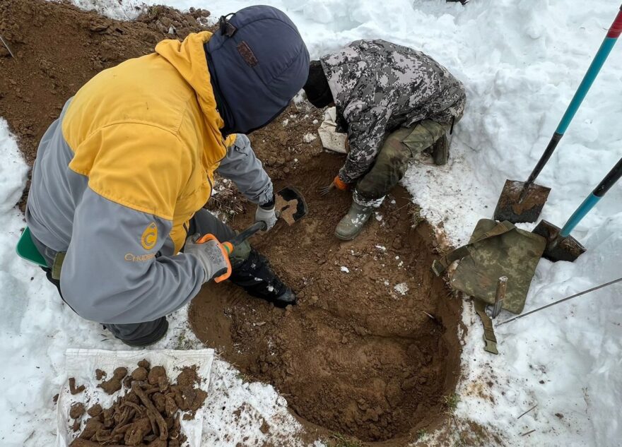 Поисковики установили имя найденного в Тверской области красноармейца
