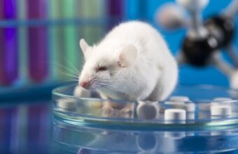 Ученые нашли вещество, способное увеличить силу мышц и их регенерацию Ученые нашли вещество, способное увеличить силу мышц и их регенерацию