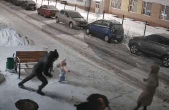 В Твери агрессивные собаки растерзали шпица на глазах у детей В Твери агрессивные собаки растерзали шпица на глазах у детей