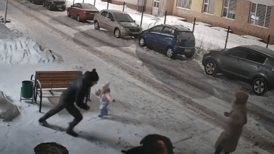 В Твери агрессивные собаки растерзали шпица на глазах у детей В Твери агрессивные собаки растерзали шпица на глазах у детей