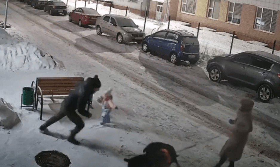 В Твери агрессивные собаки растерзали шпица на глазах у детей