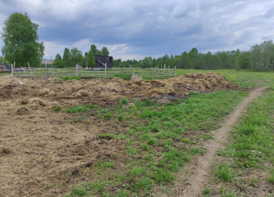 Во Дворцах Тверской области нашли навоз Во Дворцах Тверской области нашли навоз