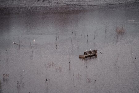 В Тверской области готовятся к пропуску весеннего половодья В Тверской области готовятся к пропуску весеннего половодья