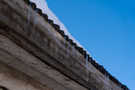 Погода в Тверской области намекнёт на весну