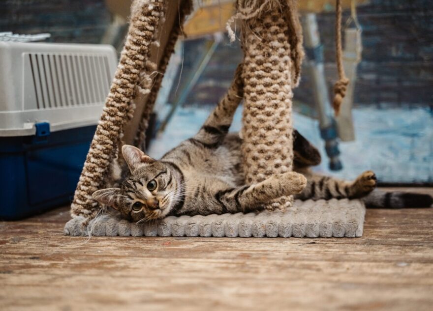 Жителям Тверской области напомнили о выходных на 23 февраля и 8 марта