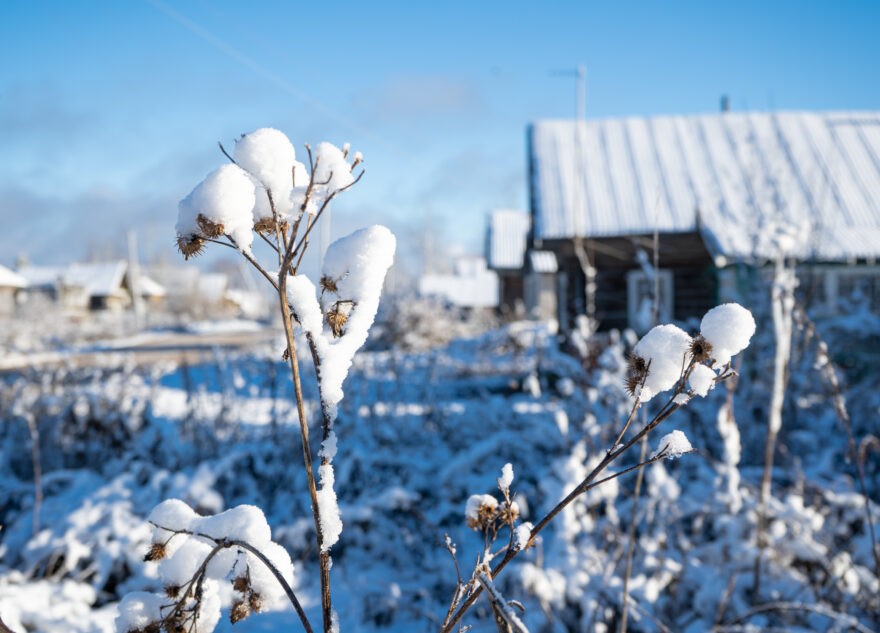 Жителям Тверской области рассказали о погоде на следующей февральской неделе