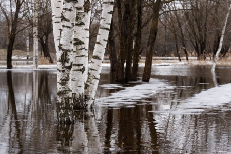 Реки Тверской области начинают подниматься